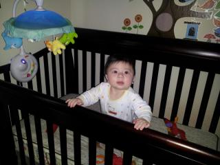 2013-03-08