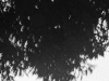 light-9